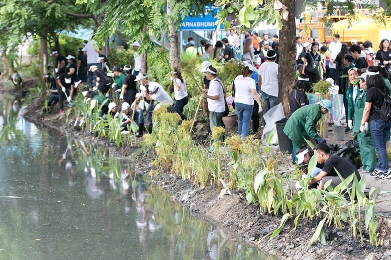 โครงการพัฒนาพื้นที่สีเขียว Central Green