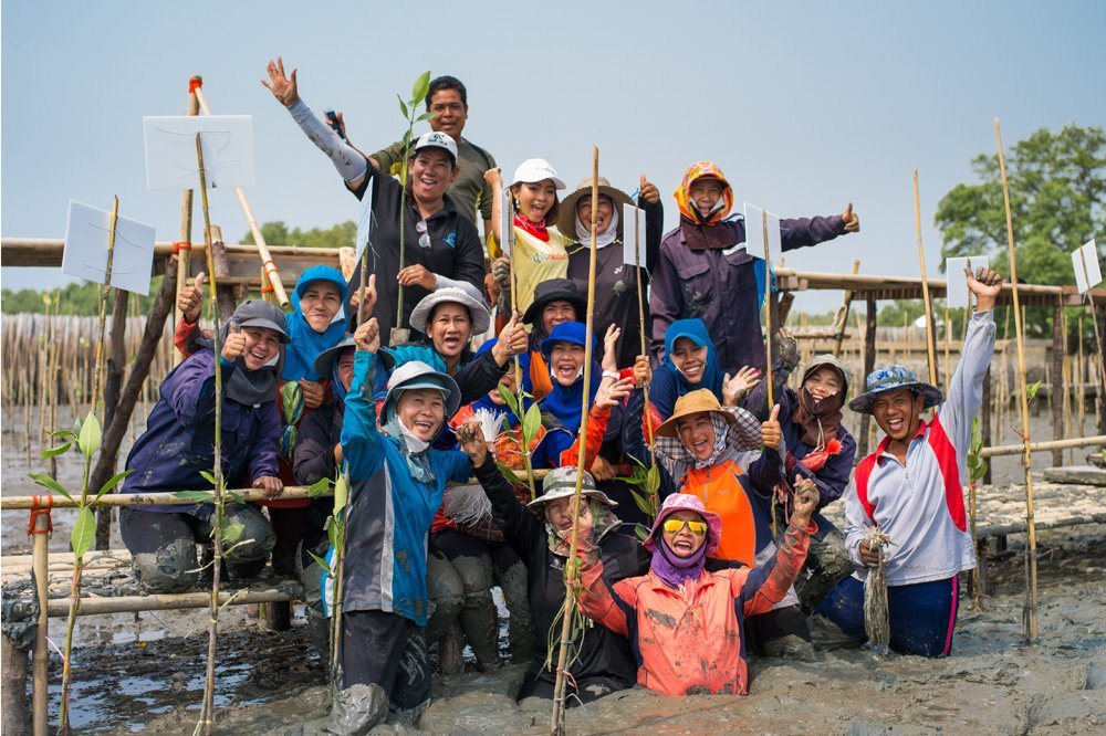 โครงการปลูกต้นไม้ ฟื้นฟูผืนป่า Forest Restoration