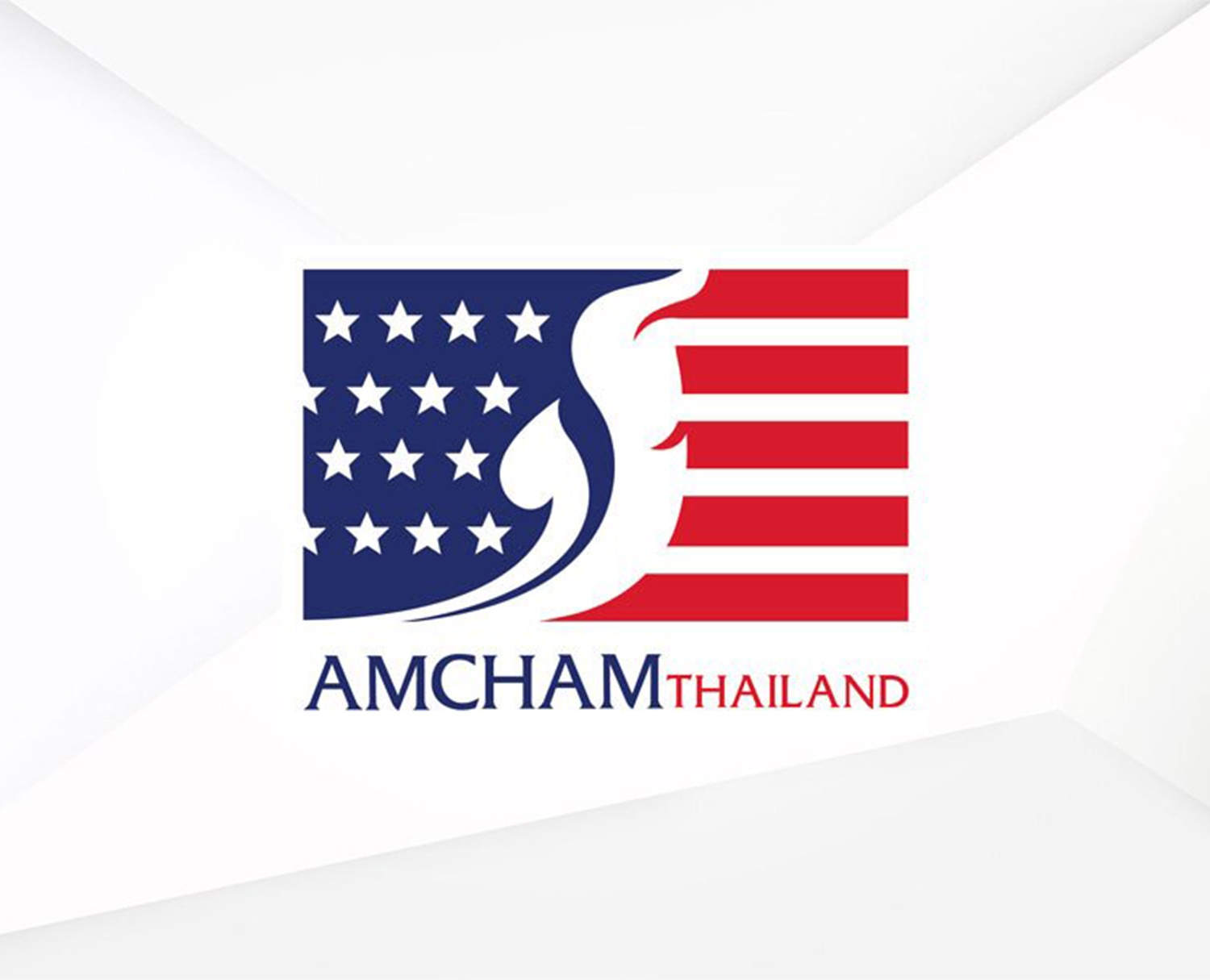 CSR Excellence Award American Chamber of Commerce (AMCHAM)